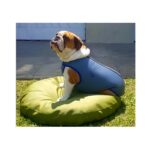 Faja Post Operatoria Macho